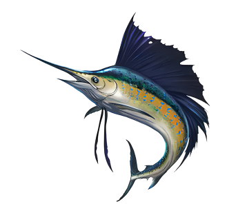 Flamingo Fishing | Flamingo fish species Flamingo Fishing | Flamingo fish species