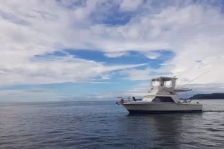 Flamingo Fishing | Fishing charters Flamingo Fishing | Fishing charters